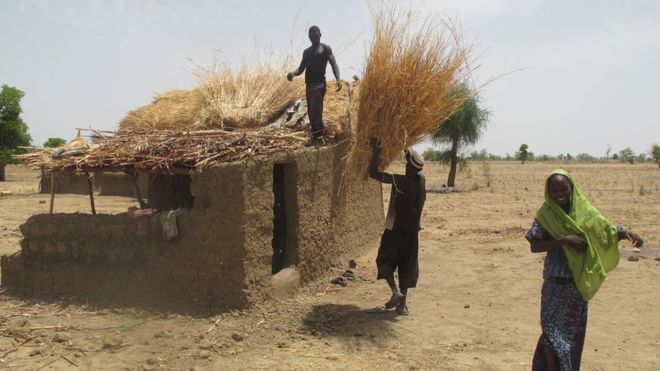 Cameroun: un procès sur l'accaparement des terres