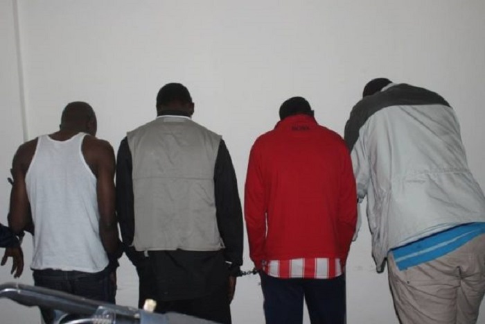 Mbour : La gendarmerie démantèle la bande des experts en vol de bétail