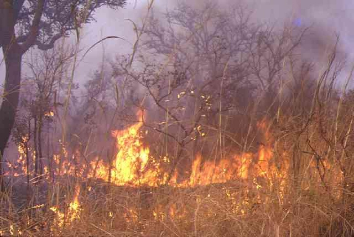 Violent incendie à Kaffrine : des tonnes de mil, de maïs, d’arachides…réduits en cendres
