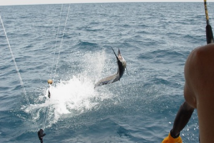 Protection des ressources halieutiques : Macky Sall généralise les aires marines protégées