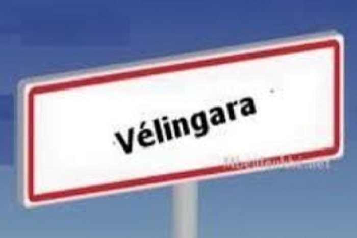 Scène macabre à Vélingara : des restes de corps découverts dans un sac