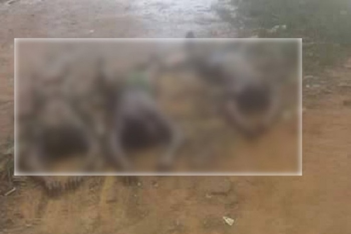 Meurtres, viols et enlèvements d’enfants : la pauvreté, des pratiques obscurantistes… indexées