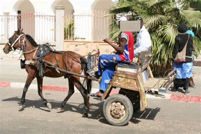 Mbour-Dégâts collatéraux de la grève des chauffeurs : un accident fait deux blessés