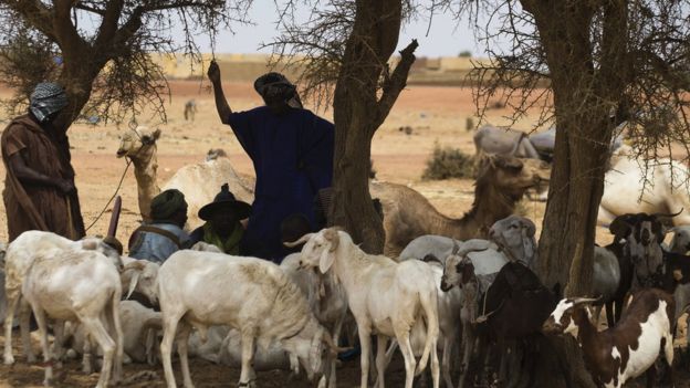 Mali : dogons et peuls font la paix