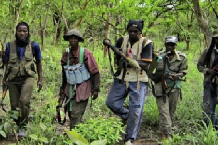 Conflits en Casamance : la jonction entre Jungullars de Yaya Jammeh et MFDC inquiète