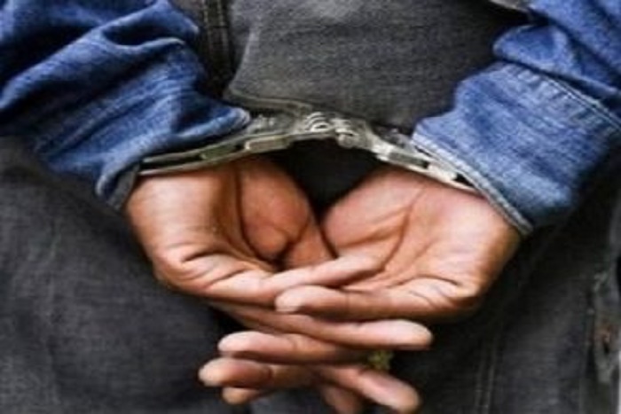 Meurtre d’un garde-forestier à Kolda : Un Sénégalais et trois Gambiens arrêtés