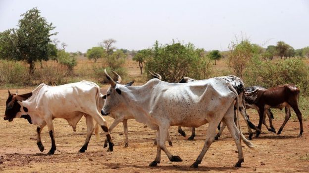 Burkina : deux millions de personnes menacées par la famine