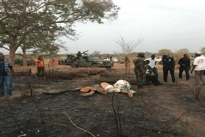 ​Trafic de bois: le Sénégal exerce désormais un droit de poursuite en Gambie