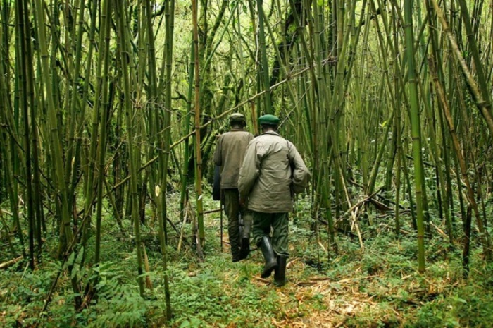 ​RDC: les deux touristes britanniques kidnappés dans les Virunga sont libres