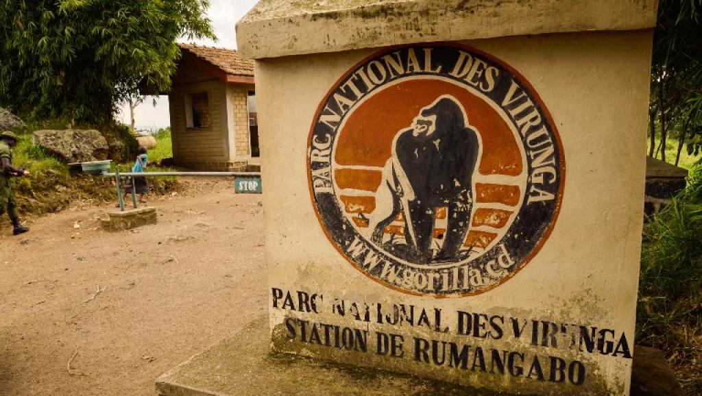 RDC: libération des deux touristes britanniques enlevés dans les Virunga