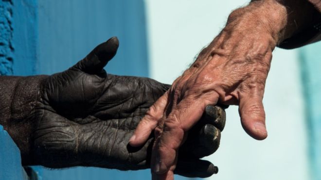 Les nids de chimpanzés sont plus propres que les lits humains