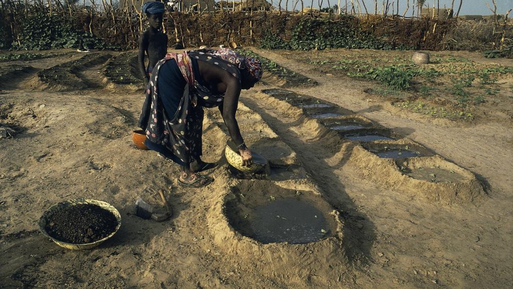 Mauritanie: une femme à la tête du tribunal du travail de Nouakchott