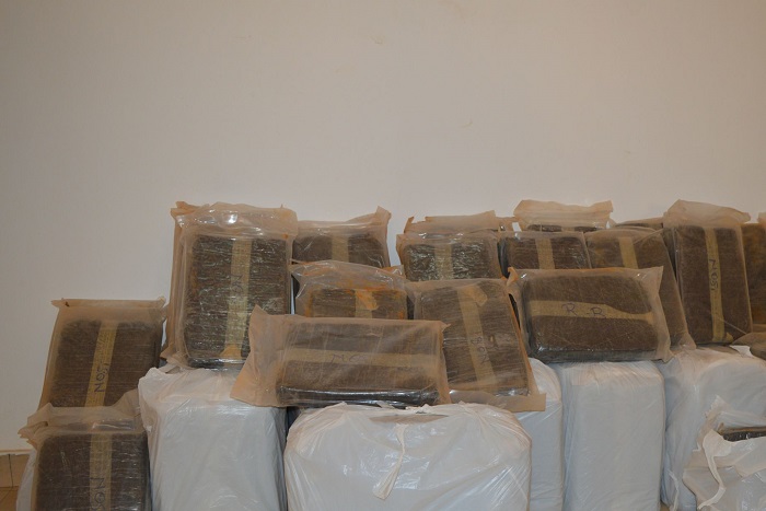 Coup dur pour les trafiquants de drogue : la gendarmerie débusque 304 kilos de chanvre indien
