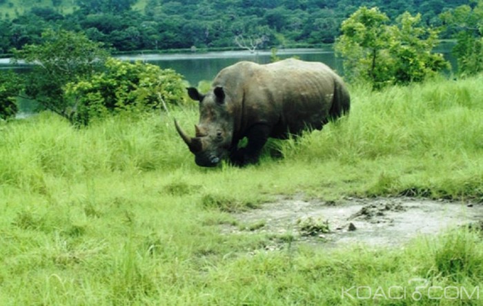 Côte d'Ivoire: Taabo, la Réserve scientifique de Lamto passe de 2500 à 2617 hectares