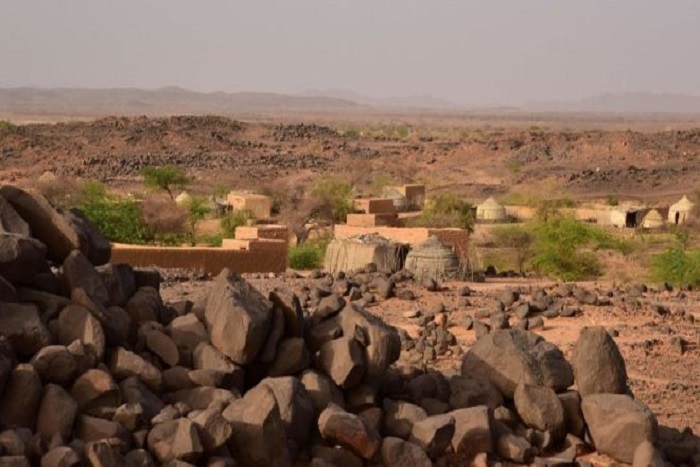 ​Trois tonnes de cannabis saisies à Niamey