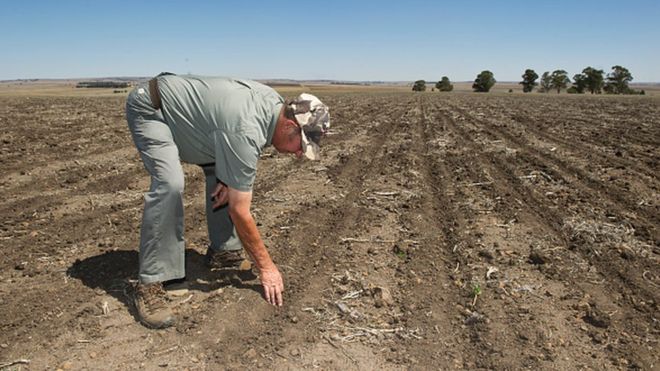​Afrique du sud, des fermiers blancs expropriés ?