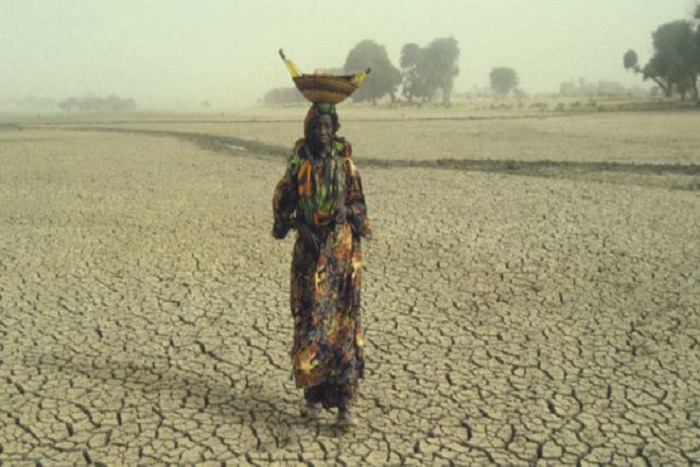 ​13 millions de personnes en détresse au Sahel
