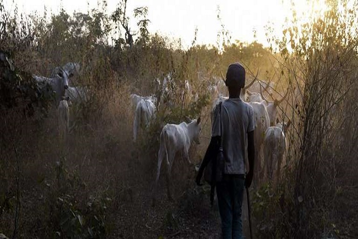 ​Plus de 200 morts dans des affrontements entre éleveurs et agriculteurs au Nigeria