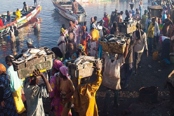 Accords de pêche : les mareyeurs sénégalais de Mauritanie demandent à ceux du Sénégal de se taire