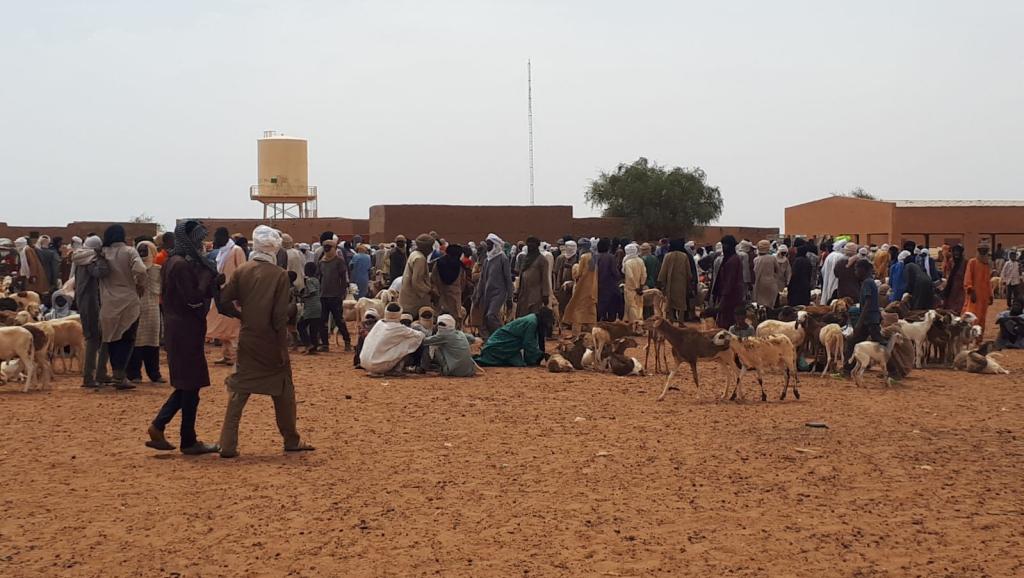Mali: face à la sécheresse, les éleveurs quittent Ménaka pour le Niger