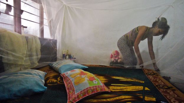 Un nouveau traitement contre le paludisme récurrent