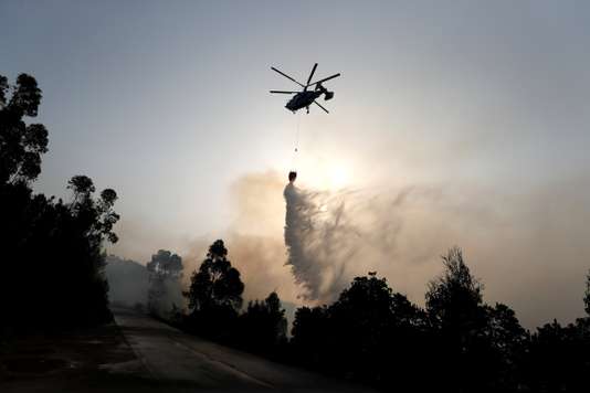 Incendies et records de chaleur : l’Europe sous la canicule