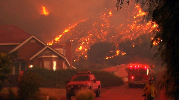 Incendies géants en Californie : Trump incrimine les lois environnementales"Je n’en sais pas plus que vous" Quid de l'idée d'une réduction des forêts visant à minorer les incendies ? L'industrie du bois fait valoir que cela minore le risque d'incendi