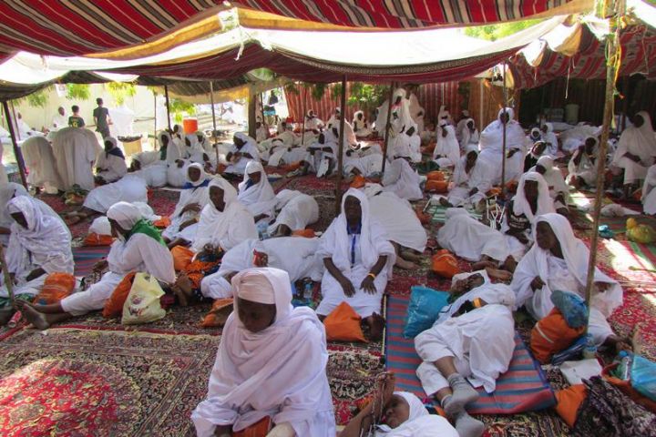 Hajj 2018 : les pèlerins sénégalais dans la galère menacent de marcher