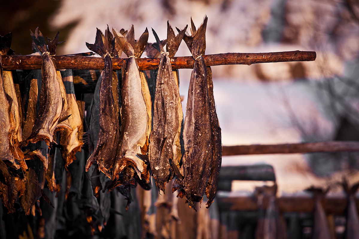 Dagana : Sept individus arrêtés pour vol de poissons séchés impropres à la consommation
