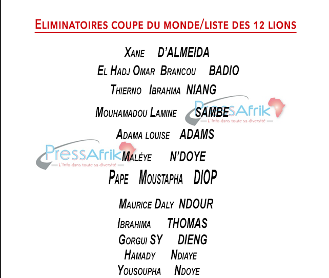 Éliminatoires Coupe du Monde : Le coach ADIDAS dévoile ses douze lions pour Lagos