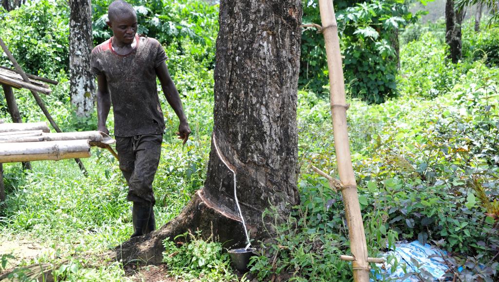 Liberia: une loi historique sur la propriété de la terre a été promulguée
