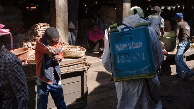 La peste fait 2 morts de plus à Madagascar