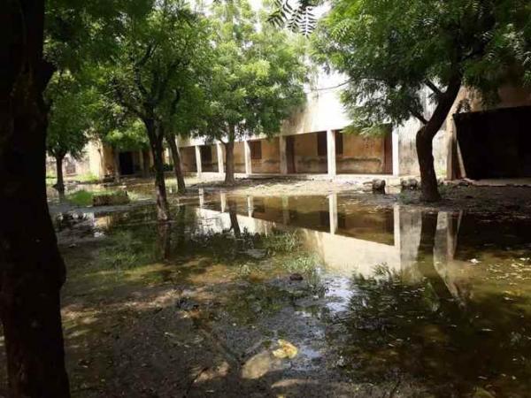 Groupe scolaire Mamadou Lamine Diarra : Les poissons remplacent les élèves dans la cour de l’école