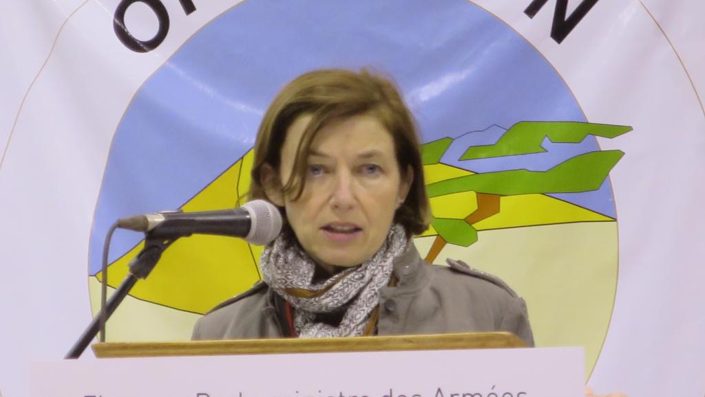 Tchad: la lutte antiterroriste au menu de la ministre française des Armées