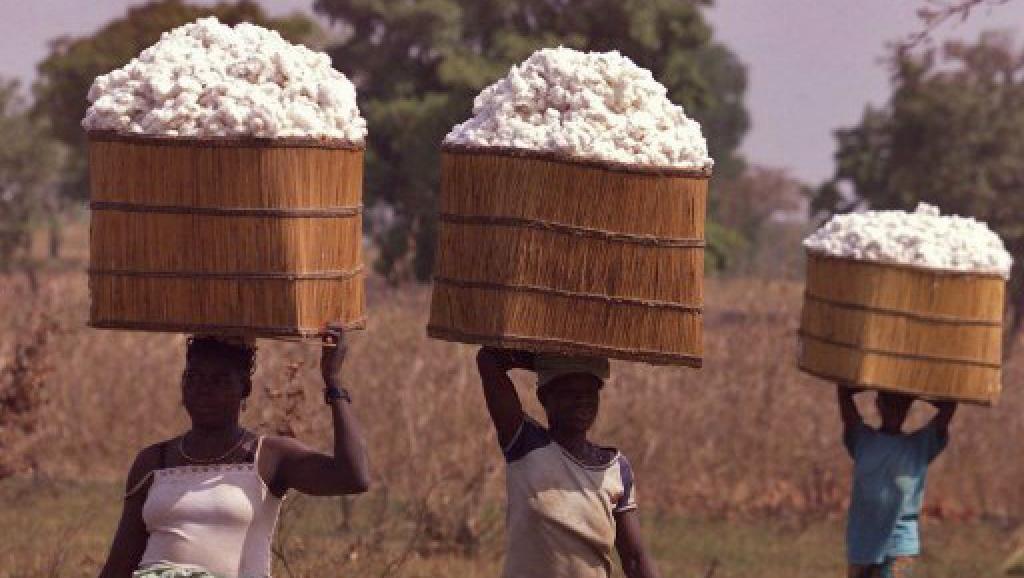 Les producteurs de coton en Afrique veulent transformer davantage