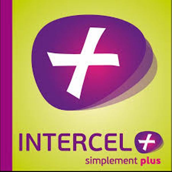 L’Etat guinéen met fin aux activités d’INTERCEL+