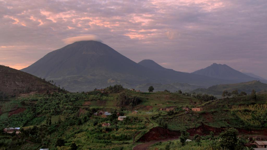 RDC: l’exploitation du pétrole menace les parcs des Virunga et de la Salonga