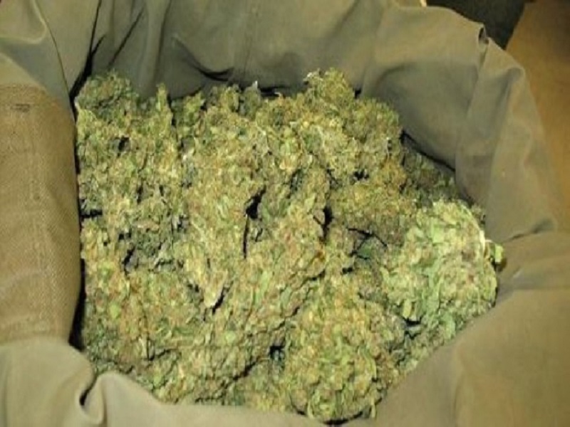 Opérations de ratissage de la Douane : drogue, médicaments contrefaits…saisis