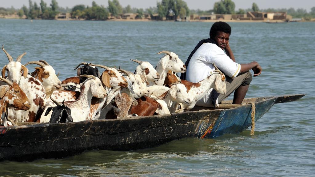 Au Mali, «la gestion rationnelle des ressources naturelles reste un défi»