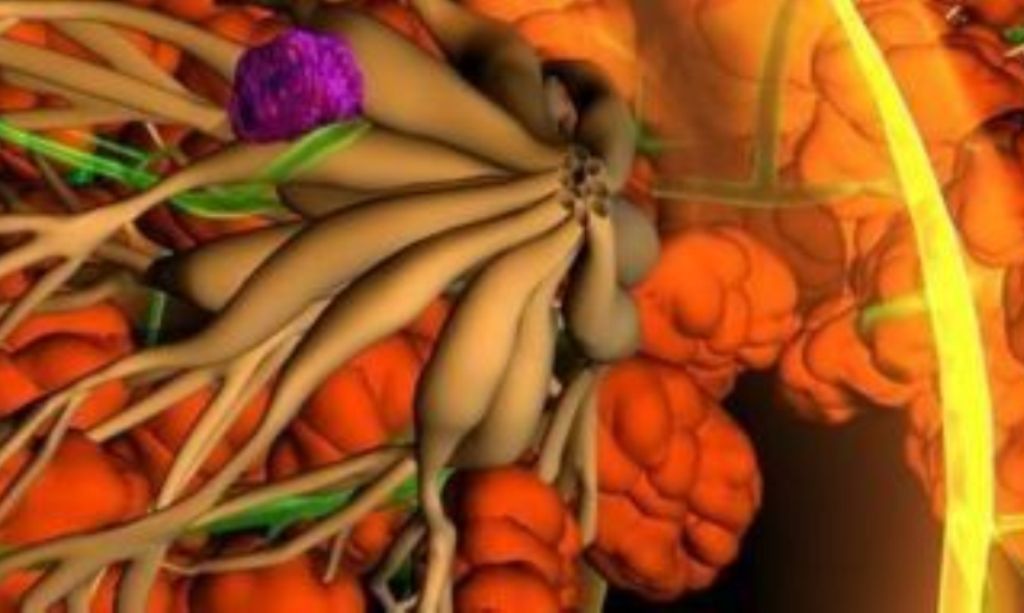 "Je ne savais pas que les hommes pouvaient avoir le cancer du sein"