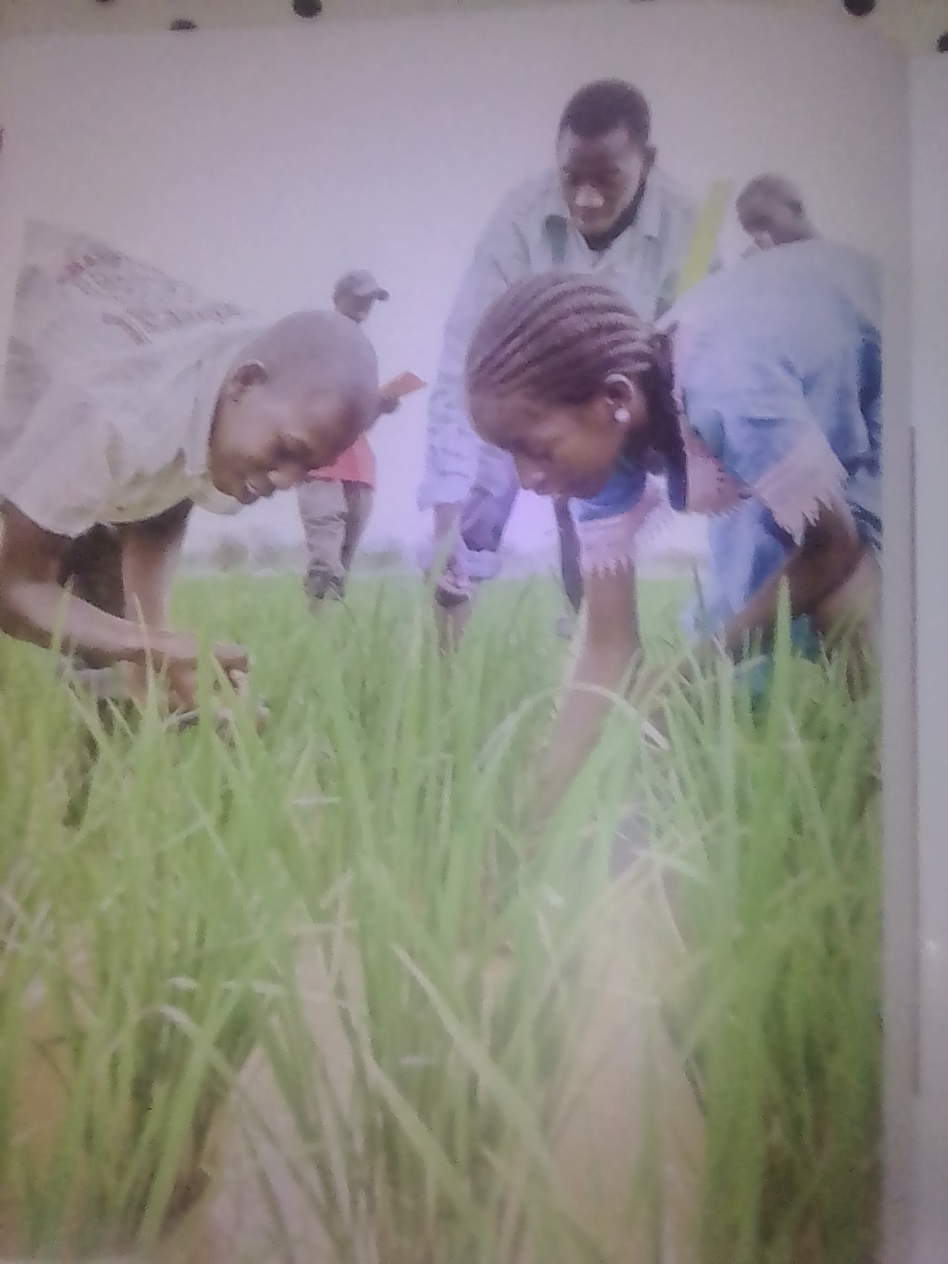 Conférence internationale sur l'agroécologie: les acteurs sonnent l’alerte pour faire face à la crise des systèmes alimentaires