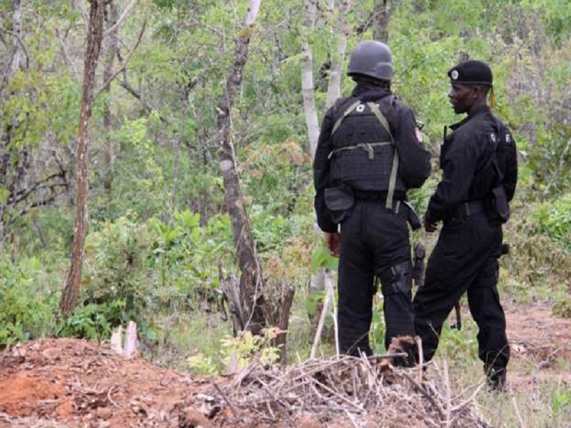 Des islamistes attaquent un village au Mozambique