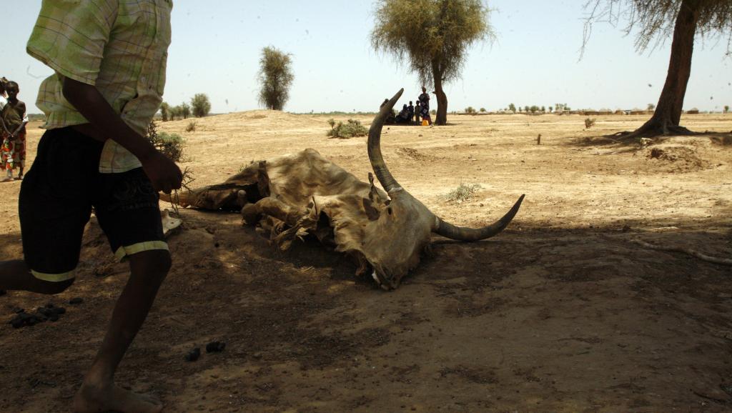 Sommet régional en Gambie sur la sécurité alimentaire en Afrique de l’Ouest