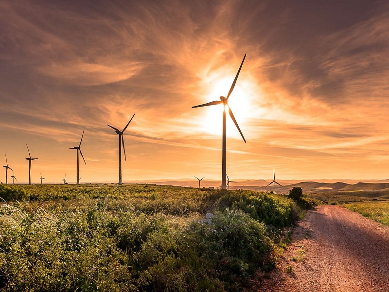 Lancement des travaux du PETN : Le Sénégal ambrasse l’éolien