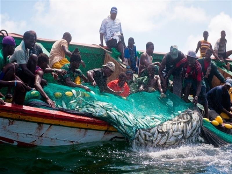 ​Paralysie du secteur de la pêche : les travailleurs entre en guerre contre les autorités 