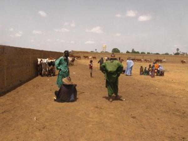 Centre du Mali : Entre guerre ethnique…et désarmement des milices, vaincre le terrorisme à tout prix pour sauver le sud !