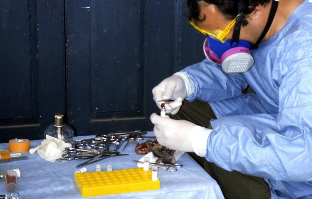 La fièvre de Lassa ressurgit au Nigéria avec 16 morts