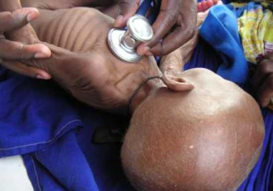 Sénégal: le Comité inter-Etat de lutte contre la sécheresse écarte toute idée de famine