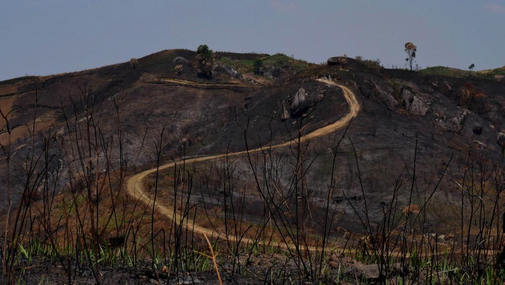 Madagascar: les défenseurs de la nature interpellent le nouveau chef de l'Etat
