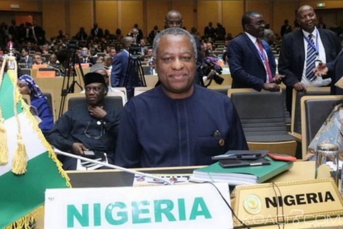 Nigeria-USA : Elections 2019, les USA priés de « ne pas dépasser la ligne de démarcation »